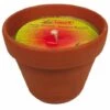 FAVORIT - Bougie Anti-moustique Dans Pot Terre Cuite