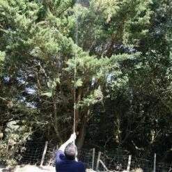 MULTIREX_PULVERISATEUR Pulvérisateur Manuel Haute Portée 9 MULTIREX_PULVERISATEUR Pulvérisateur Manuel Haute Portée -Outil d'entretien du jardin Soldes 10605558 3