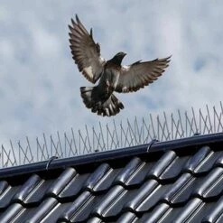 NATURE Pics Anti-oiseaux