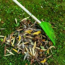 Balai à Feuilles 16 Dents Werkapro -Outil d'entretien du jardin Soldes 14849803 5