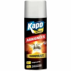 AUTRES Kapo Araignee Lg Porte 400ml Tp18 - KAPO