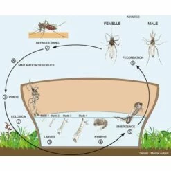 HBM Pack 5 Pièges Larve De Moustique Aqualab - Alu 10 HBM Pack 5 Pièges Larve De Moustique Aqualab - Alu -Outil d'entretien du jardin Soldes 18646300 4