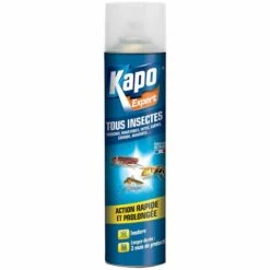 Aérosol Tous Insectes 300ml KAPO