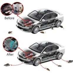 BRIDAY Répulsif à Ultrasons Pour Parasites,Électronique Dissuasion De Rat,Contrôle Des Parasites Rejet Des Souris Et Des Rongeurs Avec Lampes Stroboscopiques à Del Pour Voiture, Grange, Cuisine 9 BRIDAY Répulsif à Ultrasons Pour Parasites,Électronique Dissuasion De Rat,Contrôle Des Parasites Rejet Des Souris Et Des Rongeurs Avec Lampes Stroboscopiques à Del Pour Voiture, Grange, Cuisine -Outil d'entretien du jardin Soldes 28491845 3