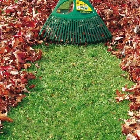 BALAI À GAZON LEBORGNE MANCHE FRÊNE XL - 369711-- 4 BALAI À GAZON LEBORGNE MANCHE FRÊNE XL - 369711-- – Image 2