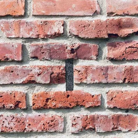 TERRE JARDIN Laine D'acier Anti Rongeur 4 TERRE JARDIN Laine D'acier Anti Rongeur – Image 2