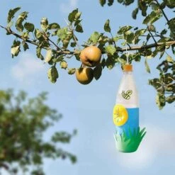 BETTERLIFE Pièges à Guêpes Jaune Piège à Guêpe Piège à Entonnoir Jaune Guêpes Frelon Piège à Mouches Des Fruits Forme D'abeilles Pièges Volant Guêpe Piège Réutilisable Guêpe Piège Abeille Piège 10PCS -Outil d'entretien du jardin Soldes 35735065 3