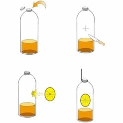 BETTERLIFE Pièges à Guêpes Jaune Piège à Guêpe Piège à Entonnoir Jaune Guêpes Frelon Piège à Mouches Des Fruits Forme D'abeilles Pièges Volant Guêpe Piège Réutilisable Guêpe Piège Abeille Piège 10PCS -Outil d'entretien du jardin Soldes 35735065 5