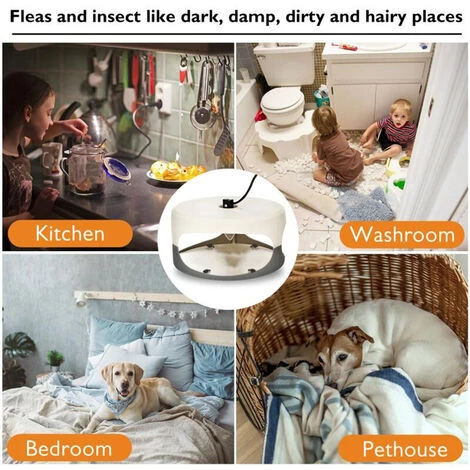HAPPYSHOPPING Piege A Punaises De Lit Sticky Flea Trap Dome Avec 2 Disques De Colle, Tampon Anti-puces Non Toxique Et Inodore, Piege A Puces Leger Adapte Aux Enfants Et Aux Animaux Domestiques, Prise Europeenne,modele:Prise EU Blanche 5 HAPPYSHOPPING Piege A Punaises De Lit Sticky Flea Trap Dome Avec 2 Disques De Colle, Tampon Anti-puces Non Toxique Et Inodore, Piege A Puces Leger Adapte Aux Enfants Et Aux Animaux Domestiques, Prise Europeenne,modele:Prise EU Blanche – Image 3