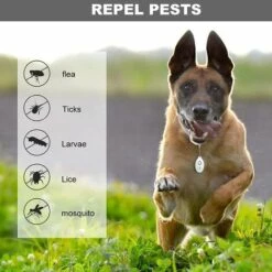 BRIDAY Répulsif Anti Moustique Electrique Répulsif Ultrasons Souris Anti-Rongeurs Portable Exterieur Et Interieur Destructeur D'Insectes / Anti Mouches,Fourmi, Cafard, Araignée -Outil d'entretien du jardin Soldes 36690132 5