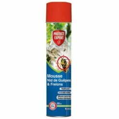 PROTECT EXPERT - Mousse Nids De Guêpes Et Frelons 600ml /nc