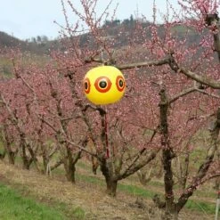 TERRE JARDIN Ballon Effaroucheur D'oiseaux X2 10 TERRE JARDIN Ballon Effaroucheur D'oiseaux X2 -Outil d'entretien du jardin Soldes 4629268 4