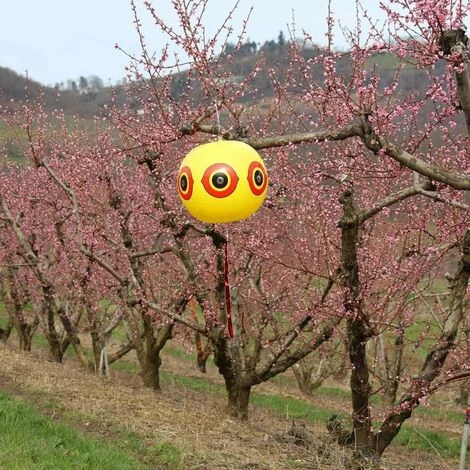 TERRE JARDIN Ballon Effaroucheur D'oiseaux X2 6 TERRE JARDIN Ballon Effaroucheur D'oiseaux X2 – Image 4