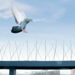 SKYLANTERN Lot 10 Piege Oiseau 50CM - 5M Pics Anti Pigeons Acier Inoxydable - Repulsif Pigeon & Répulsif Oiseaux , Moineau, Corbeau, Chat Pour Balcon, Toit - Argent -Outil d'entretien du jardin Soldes 47379629 4