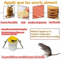 GUAZHUNIFR Piege A Rat Et Attrape Souris Flip Slide Bucket Lid Mouse Tapetteà Compatible Balance Trap Indoor And Outdoor Auto Reset Mouse Trappe (Entrez Aux Deux Extrémités) Guazhuni 10 GUAZHUNIFR Piege A Rat Et Attrape Souris Flip Slide Bucket Lid Mouse Tapetteà Compatible Balance Trap Indoor And Outdoor Auto Reset Mouse Trappe (Entrez Aux Deux Extrémités) Guazhuni -Outil d'entretien du jardin Soldes 47882226 4