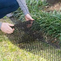 Clous En Plastique Anti-épine De Chat, Barrière, Anti-pigeon Oiseau Chat Et Chien Anti-épine De Chat Pour Plantation Et Potager Macaron 11 Clous En Plastique Anti-épine De Chat, Barrière, Anti-pigeon Oiseau Chat Et Chien Anti-épine De Chat Pour Plantation Et Potager Macaron -Outil d'entretien du jardin Soldes 50929236 5