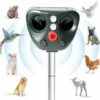GUAZHUNIFR Répulsif Chat Ultrason Solaire Exterieur Répulsif Animaux Fréquence Réglable Répulsif à Ultrason Sonore Imperméable Prévenir Chiens Chats Fox Squirrels Souris Pour Jardins, Champs, Pépinières (vert)，Guazhuni
