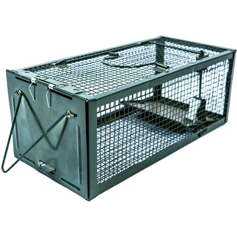 QERSTA Pièges à Rats Piège De Capture Deux Entrées Cage Piege Pour Souris Rongeurs Mulots 27X13X11CM 4 QERSTA Pièges à Rats Piège De Capture Deux Entrées Cage Piege Pour Souris Rongeurs Mulots 27X13X11CM – Image 2