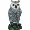 ENLENK Naturel Faux épouvantail Chouette Leurre - Chouette Pest Repellet 1 ENLENK Naturel Faux épouvantail Chouette Leurre - Chouette Pest Repellet -Outil d'entretien du jardin Soldes 55352341 1