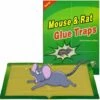 PERLE RARE Piège à Souris Pièges à Rats, 5 Plaques Collantes Souris, Plaques De Glu Anti Souris Anti Rat - Grande Taille 8"x12" 1 PERLE RARE Piège à Souris Pièges à Rats, 5 Plaques Collantes Souris, Plaques De Glu Anti Souris Anti Rat - Grande Taille 8"x12" -Outil d'entretien du jardin Soldes 55869559 1