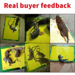 IRISFR Piège à Souris Pièges à Rats, 5 Plaques Collantes Souris, Plaques De Glu Anti Souris Anti Rat，Lilaris -Outil d'entretien du jardin Soldes 56059570 5