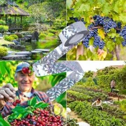 GUAZHUNIFR Bande Anti Oiseaux,Bandes Réfléchissantes Pour Oiseaux, Ruban Répulsif Anti-Oiseaux,Anti Oiseaux Bande,Ruban Réfléchissant Pour Domicile Jardin Et Ferme, 2.4cm X 80m,GU.B/bon 11 GUAZHUNIFR Bande Anti Oiseaux,Bandes Réfléchissantes Pour Oiseaux, Ruban Répulsif Anti-Oiseaux,Anti Oiseaux Bande,Ruban Réfléchissant Pour Domicile Jardin Et Ferme, 2.4cm X 80m,GU.B/bon -Outil d'entretien du jardin Soldes 56116090 5