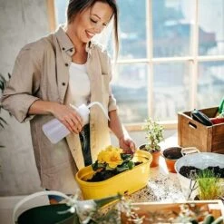 Outil d'entretien du jardin Soldes -Outil d'entretien du jardin Soldes 56690791 2