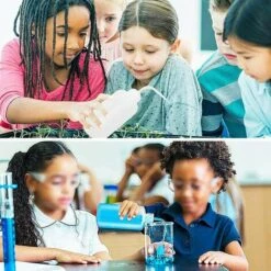 READCLY 3Pcs Flacon De Lavage De Sécurité,250ml Bouteille Pissette Plastique Bouteilles Compressibles Pour Labo De Tatouage Jardin Plantes 10 READCLY 3Pcs Flacon De Lavage De Sécurité,250ml Bouteille Pissette Plastique Bouteilles Compressibles Pour Labo De Tatouage Jardin Plantes -Outil d'entretien du jardin Soldes 56690791 4