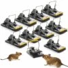 BARES Lot De 10 Piège à Souris, Piège à Souris Reutilisable Avec Ressort Puissant, Puissant, Securise, Sensible, Efficace, Tapette à Rat Pour Intérieur Cuisine Maison Jardin (10 Pièces) -Outil d'entretien du jardin Soldes 57596504 1