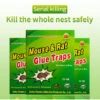 ILOVEMILAN Piege A Souris Colle Collant 10 Pièces Pièges à Souris Attrape Anti Souris Rat Glue Plaque Collante Piège Souris Et à Rats [10 Pièces] -Outil d'entretien du jardin Soldes 58072113 1