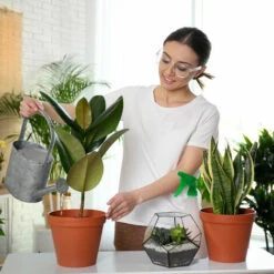 Relaxdays Vaporisateur 1L, Lot De 2, Plantes, Spray, Fleurs, Jardinage, Brumisateur, Gradué, Arrosage, Noir -Outil d'entretien du jardin Soldes 58806124 4