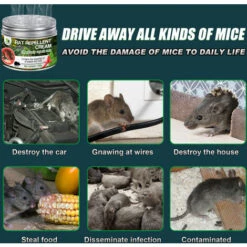 ILOVEMILAN Répulsif à Souris Pour Moteurs De Voiture, Répulsif à Rats Pour Repousser Les Souris Et Les Rats 9 ILOVEMILAN Répulsif à Souris Pour Moteurs De Voiture, Répulsif à Rats Pour Repousser Les Souris Et Les Rats -Outil d'entretien du jardin Soldes 58975106 3