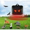 BENOBBY KIDS ISOTRONIC Répulsif Solaire Contre Les Animaux Sauvages Tels Que Les Ratons Laveurs, Les Chevreuils, Les Renards, Les Sangliers, Etc. - 4 Répulsifs Efficaces Avec Lumière LED Rouge -Outil d'entretien du jardin Soldes 59207053 1