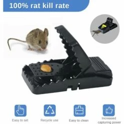 GALOZZOIT Piège Souris, Lot De 6 Piège Rats Réutilisable, Efficace Déclenchement Précis Attrape Souris, Souricière Avec Puissant Et Sensible Contrôle(Noir) 10 GALOZZOIT Piège Souris, Lot De 6 Piège Rats Réutilisable, Efficace Déclenchement Précis Attrape Souris, Souricière Avec Puissant Et Sensible Contrôle(Noir) -Outil d'entretien du jardin Soldes 59799871 4