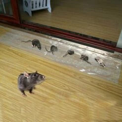 REGALI Lot De 6 Autocollants Invisibles Pour Rats Collants De 1,2 M