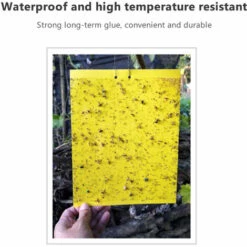 LIFCAUSAL Pièges Collants Pour Plantes Volantes Insectes Champignons Moucherons Pièges à Insectes Volants Double Face Peuvent être Coupés 20 Pièces 20*10cm Jaune -Outil d'entretien du jardin Soldes 60093533 2