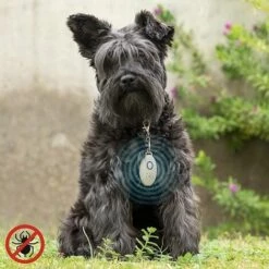 MACARON Ultrason Anti-moustique Portable Répulsifs à Insectes D'extérieur Pest Reject Prévention Des Puces Et Des Tiques Pour Les Chiens, Les Chats, Les Animaux Domestiques LO-Ron 10 MACARON Ultrason Anti-moustique Portable Répulsifs à Insectes D'extérieur Pest Reject Prévention Des Puces Et Des Tiques Pour Les Chiens, Les Chats, Les Animaux Domestiques LO-Ron -Outil d'entretien du jardin Soldes 60154900 4