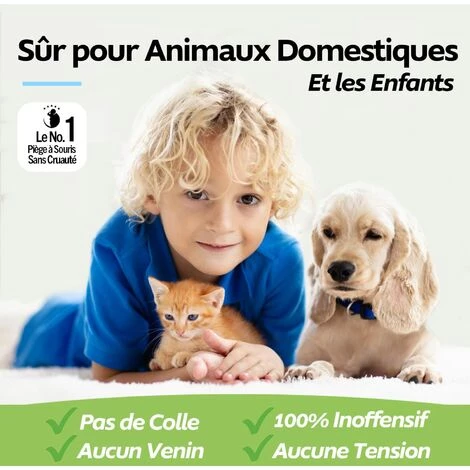 ZOLGINAH Motel Mouse Piège À Souris Vivante Sans Cruauté - Ultrasensible - Facile à Utiliser - Sûr Pour Les Animaux Domestiques Et Les Enfants - Réutilisable 6 ZOLGINAH Motel Mouse Piège À Souris Vivante Sans Cruauté - Ultrasensible - Facile à Utiliser - Sûr Pour Les Animaux Domestiques Et Les Enfants - Réutilisable – Image 4