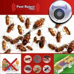 ILOVEMILAN Électronique Ultrasonic Rat Pest Reject Repellent Anti Mosquito Bug Killer 10 ILOVEMILAN Électronique Ultrasonic Rat Pest Reject Repellent Anti Mosquito Bug Killer -Outil d'entretien du jardin Soldes 62870916 4