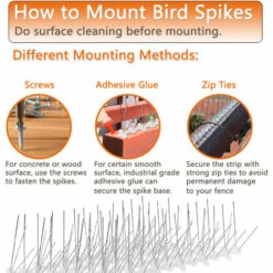 EINFEBEN Défense Contre Les Oiseaux Défense Contre Les Oiseaux Pics à Pigeons Protection Contre Les Pigeons 5 Rangées 3M Défense Contre Les Moineaux - Argent -Outil d'entretien du jardin Soldes 63580248 5