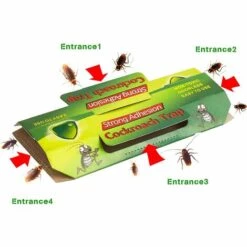 PERLE RARE Piege Cafard 20 Pièces Produit Anti Cafards Puissant Piege A Blatte Cafard Professionnel Collant Piège à Cafards Anti Blattes Et Cafards 9 PERLE RARE Piege Cafard 20 Pièces Produit Anti Cafards Puissant Piege A Blatte Cafard Professionnel Collant Piège à Cafards Anti Blattes Et Cafards -Outil d'entretien du jardin Soldes 63959014 3