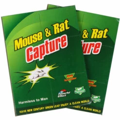 BENOBBY KIDS Piège à Souris, Piège à Rats Efficace, Attrape Souris - 10 Plaques De Glu Collante - Vert, Grande Taille 21 X 32 Cm - Pour La Maison Et Le Jardin