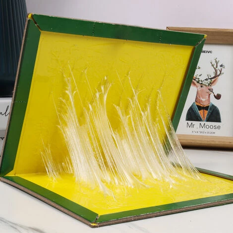 BENOBBY KIDS Piège à Souris, Piège à Rats Efficace, Attrape Souris - 10 Plaques De Glu Collante - Vert, Grande Taille 21 X 32 Cm - Pour La Maison Et Le Jardin 4 BENOBBY KIDS Piège à Souris, Piège à Rats Efficace, Attrape Souris - 10 Plaques De Glu Collante - Vert, Grande Taille 21 X 32 Cm - Pour La Maison Et Le Jardin – Image 2