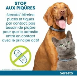 Chien - Collier Anti-puces Et Anti-tiques Pour Grands Chiens Collier Anti-moustiques Pour Animaux Domestiques De 70 Cm Collier Anti-moustiques Pour Chats Et Chiens Thsinde -Outil d'entretien du jardin Soldes 64464258 4