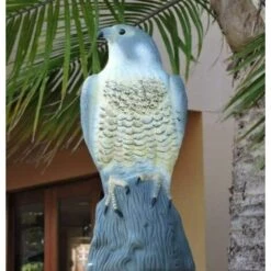 OSQI Garden Mile Grand Leurre De Faucon Réaliste Dissuasif Pour Oiseaux Réaliste Complet Oiseau De Proie Lutte Antiparasitaire Statue De Jardin Réaliste Chat Oiseau Répulsif Antiparasitaire Décoration De Bassin De Jardin 8 OSQI Garden Mile Grand Leurre De Faucon Réaliste Dissuasif Pour Oiseaux Réaliste Complet Oiseau De Proie Lutte Antiparasitaire Statue De Jardin Réaliste Chat Oiseau Répulsif Antiparasitaire Décoration De Bassin De Jardin -Outil d'entretien du jardin Soldes 65503101 2
