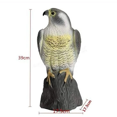 OSQI Garden Mile Grand Leurre De Faucon Réaliste Dissuasif Pour Oiseaux Réaliste Complet Oiseau De Proie Lutte Antiparasitaire Statue De Jardin Réaliste Chat Oiseau Répulsif Antiparasitaire Décoration De Bassin De Jardin 5 OSQI Garden Mile Grand Leurre De Faucon Réaliste Dissuasif Pour Oiseaux Réaliste Complet Oiseau De Proie Lutte Antiparasitaire Statue De Jardin Réaliste Chat Oiseau Répulsif Antiparasitaire Décoration De Bassin De Jardin – Image 3