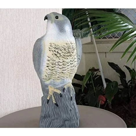 OSQI Garden Mile Grand Leurre De Faucon Réaliste Dissuasif Pour Oiseaux Réaliste Complet Oiseau De Proie Lutte Antiparasitaire Statue De Jardin Réaliste Chat Oiseau Répulsif Antiparasitaire Décoration De Bassin De Jardin 7 OSQI Garden Mile Grand Leurre De Faucon Réaliste Dissuasif Pour Oiseaux Réaliste Complet Oiseau De Proie Lutte Antiparasitaire Statue De Jardin Réaliste Chat Oiseau Répulsif Antiparasitaire Décoration De Bassin De Jardin – Image 5