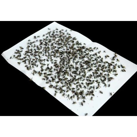 CYCLINGCOLORS 5x Papier Tue Mouche Autocollant 80x320mm Feuille Adhésif Insecte Rampant Répulsif Piège Attrape 4 CYCLINGCOLORS 5x Papier Tue Mouche Autocollant 80x320mm Feuille Adhésif Insecte Rampant Répulsif Piège Attrape – Image 2