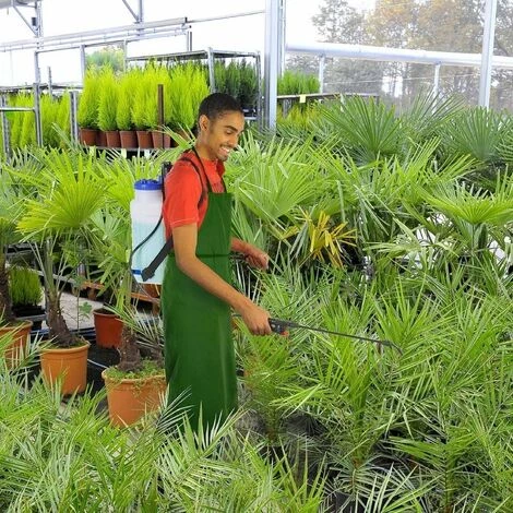 TERRE JARDIN Pulvérisateur à Dos 12 Litres 5 TERRE JARDIN Pulvérisateur à Dos 12 Litres – Image 3